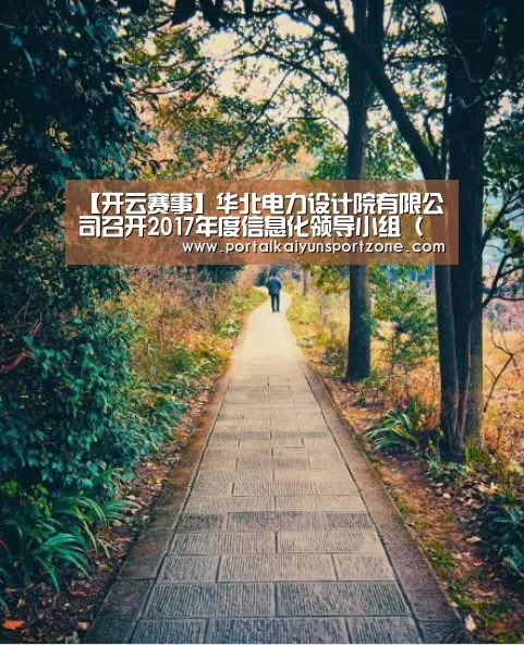 开云体育直播