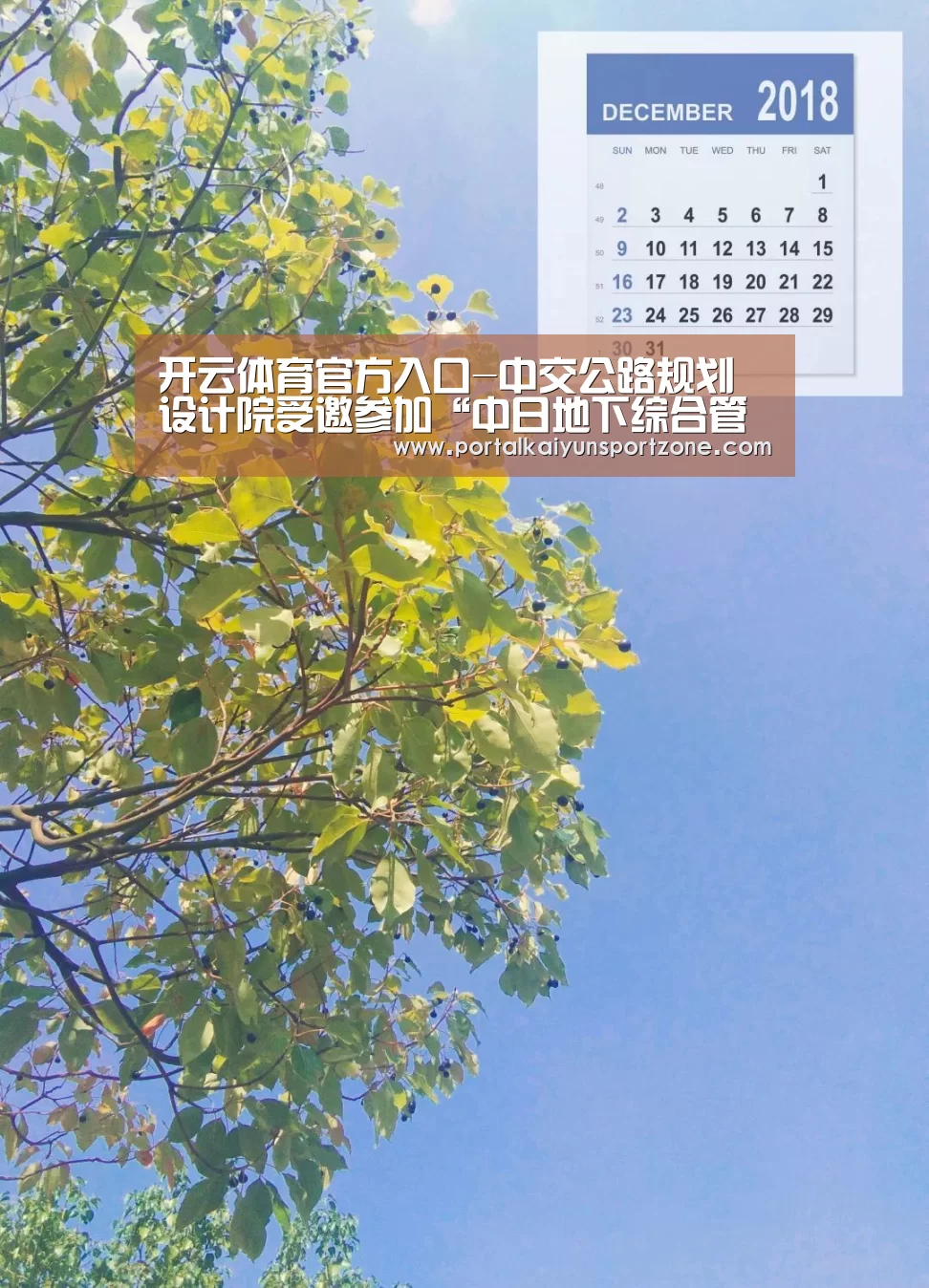 开云体育官方入口-中交公路规划设计院受邀参加“中日地下综合管廊(共同沟)规划建设技术与运营管理观摩研讨会”(图2) KAIYUN官网